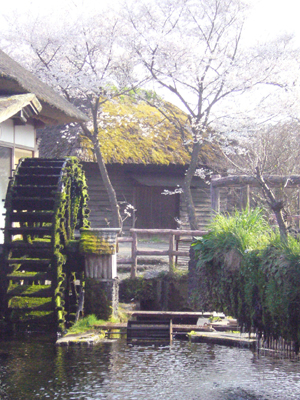 d_0423.jpg