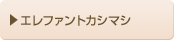 エレファントカシマシ
