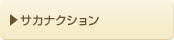 サカナクション