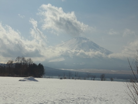 RIMG0950.JPG